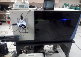 Protein Analysis