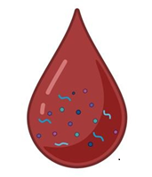 Blood analysis for milk peptides