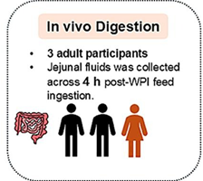 In vivo digestion study