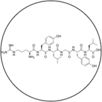 Peptide Analysis